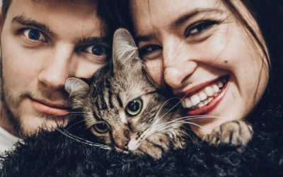Demystifying FIV: What Every Cat Lover Should Know