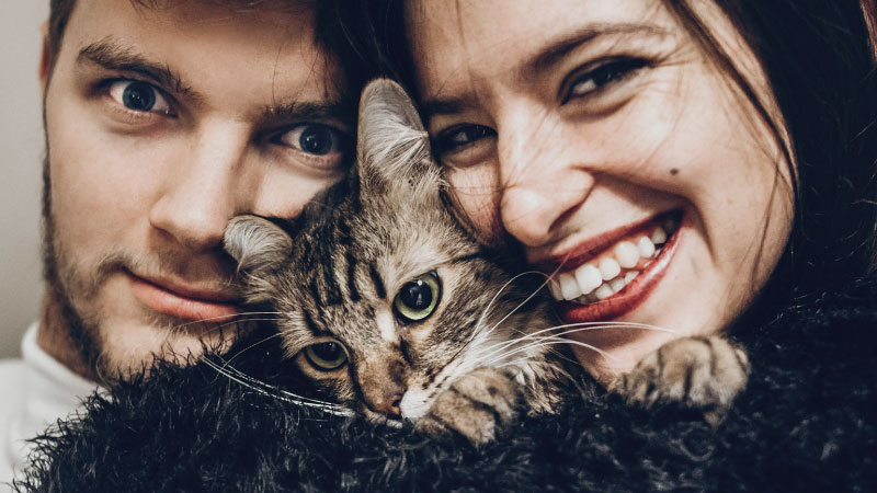 Demystifying FIV: What Every Cat Lover Should Know