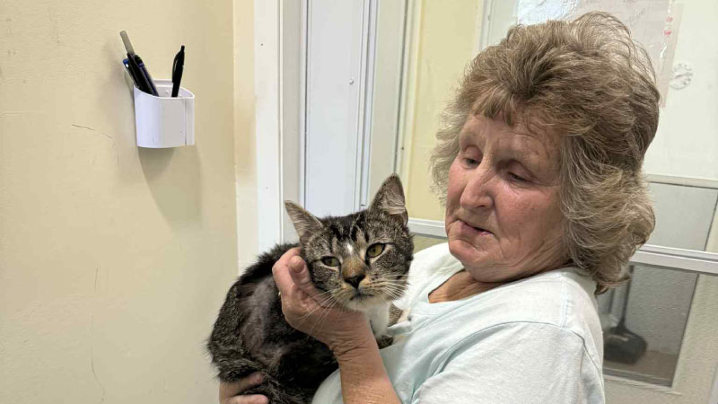 Volunteer Spotlight: The People Making a Difference in TNVR