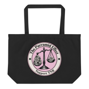 Large Eco Tote Bag