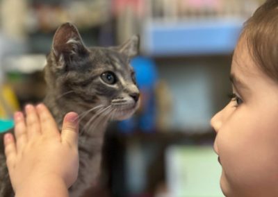 From the Classroom to the Alleyway: This Teacher Is Rescuing Camden’s Cats