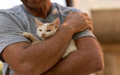 🐾 Cat Dads to the Rescue: Meet the Men Making a Difference for Cats