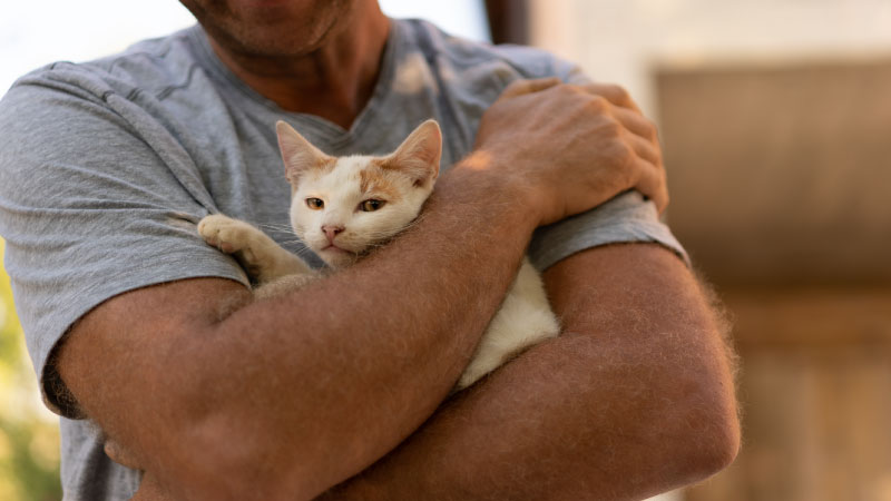 🐾 Cat Dads to the Rescue: Meet the Men Making a Difference for Cats
