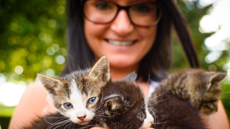 🐾 Shop With Purpose: How Gilu Turns Every Purchase Into a Lifesaving Action