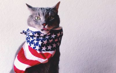 🎆 Red, White, and Mew: A Paws-itively Patriotic Collection Is Coming