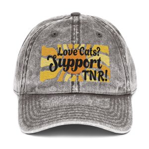 Vintage Cotton Twill Cap