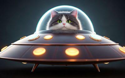 Is Your Cat an Alien? 6 Signs They Might Be from Another Planet