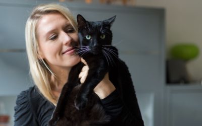 The Myths That Hurt Black Cats—and How You Can Help