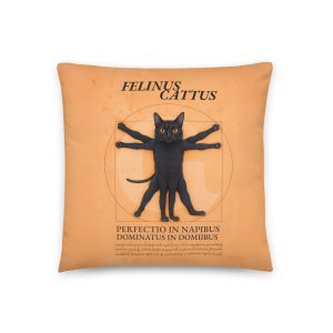 Vitruvian Cat Pillow – Funny Black Cat Throw Pillow for Nap Lovers