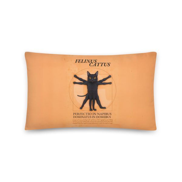 Vitruvian Cat Pillow – Funny Black Cat Throw Pillow for Nap Lovers - Image 3