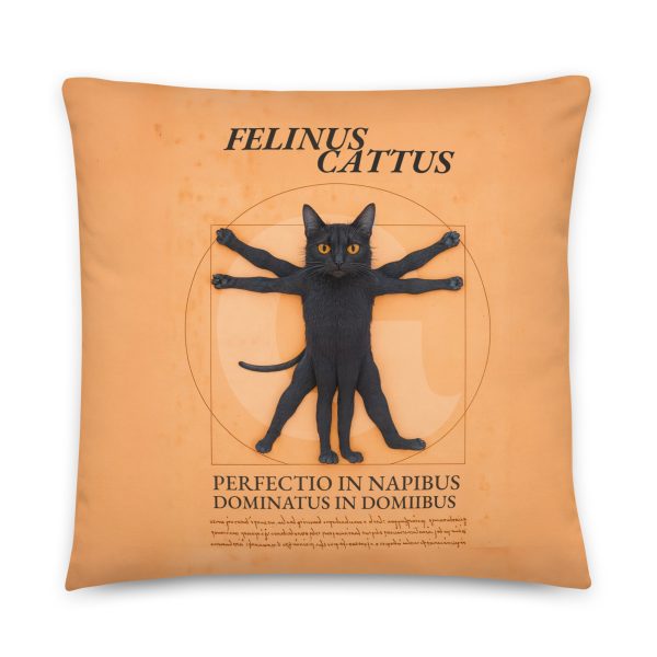Vitruvian Cat Pillow – Funny Black Cat Throw Pillow for Nap Lovers - Image 5