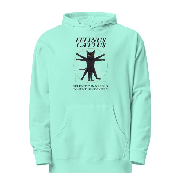 Vitruvian Cat Hoodie – Funny Feline Hoodie for Nap Connoisseurs