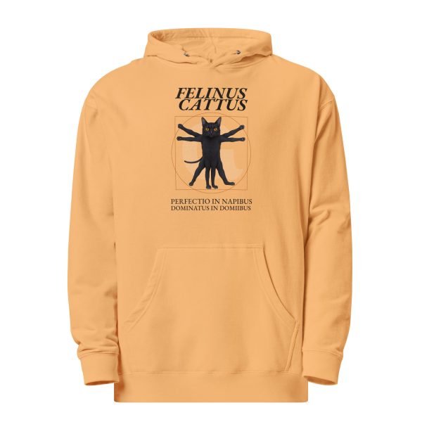 Vitruvian Cat Hoodie – Funny Feline Hoodie for Nap Connoisseurs - Image 2