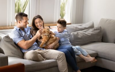 Back-to-School with Cats: How Felines Help Families Thrive