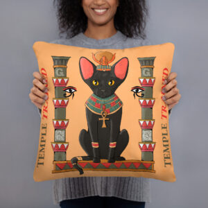 Pharaoh Cat Pillow – Temple Trained