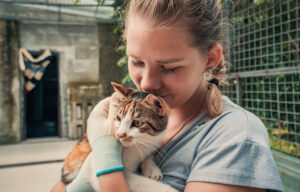 Volunteers working in a shelter setting, with one person holding an adult tabby cat while others organize supplies 