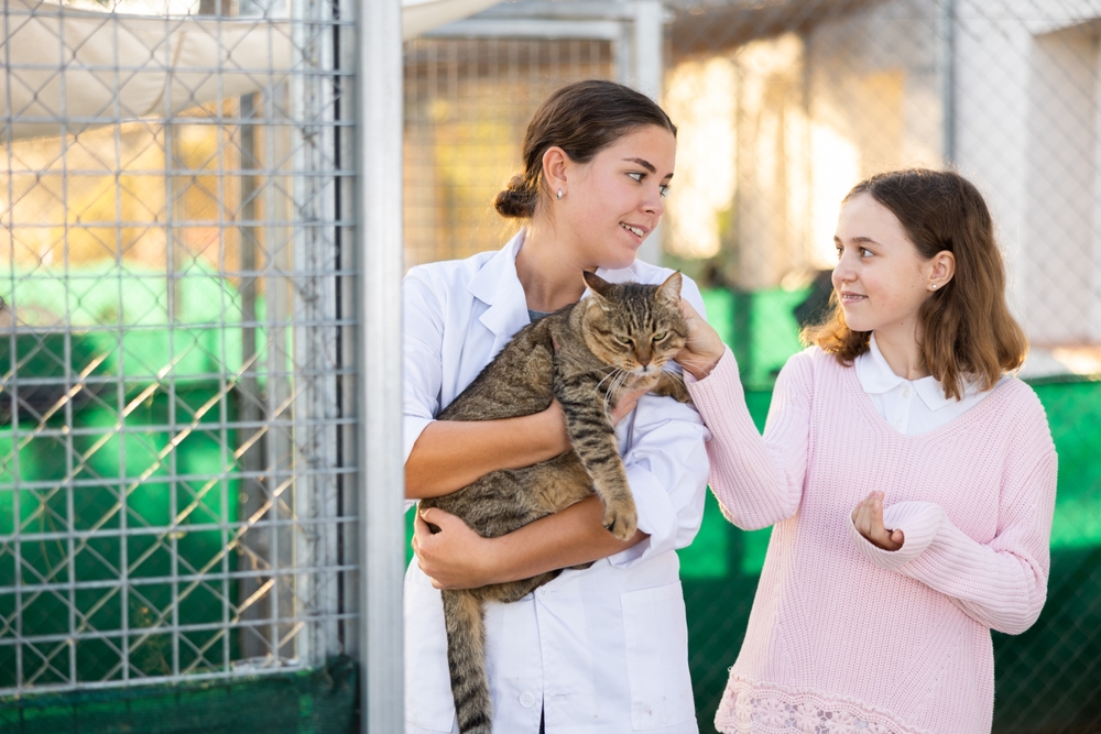 The Hidden Struggles of Post-Kitten Season: How You Can Help