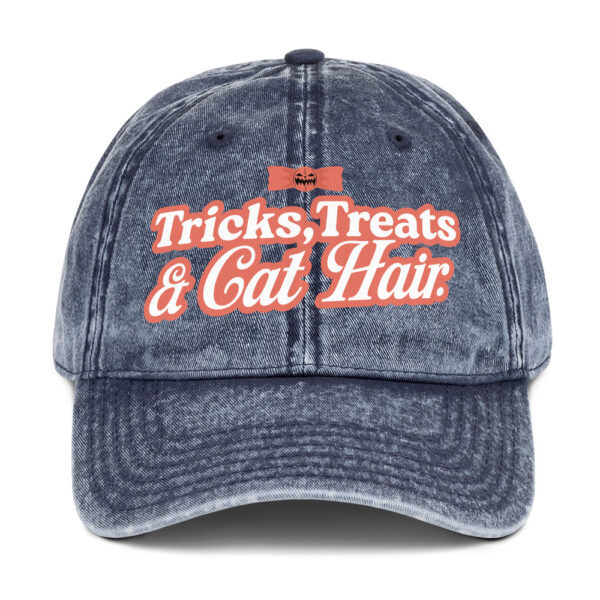 Tricks, Treats & Cat Hair Vintage Cap | GiluCats - Image 2